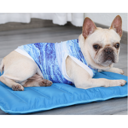 hotsale fashionable summer coat dog T shirt pet